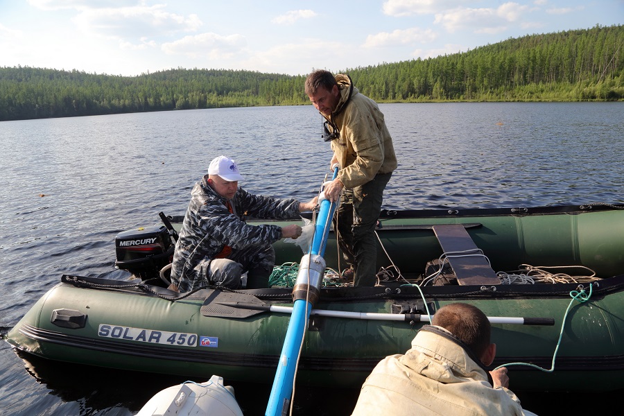 Полевая экспедиция